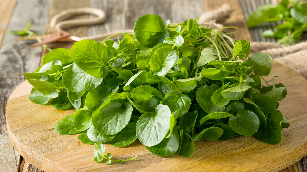 The Incredible Health Benefits of Watercress: A Powerhouse of Nutrients